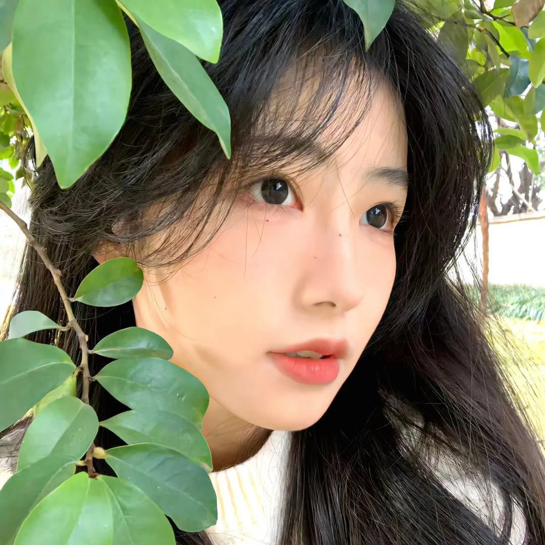 我养了个少年