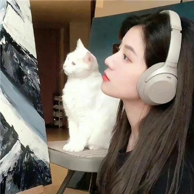大案组