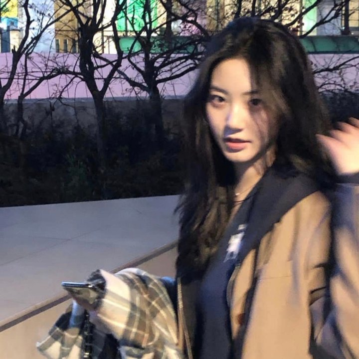 梦见狮子